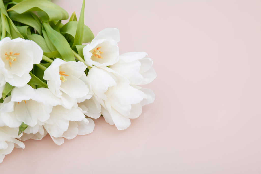 Guide to Funeral Flowers and What Each Means Atticus® Magazine